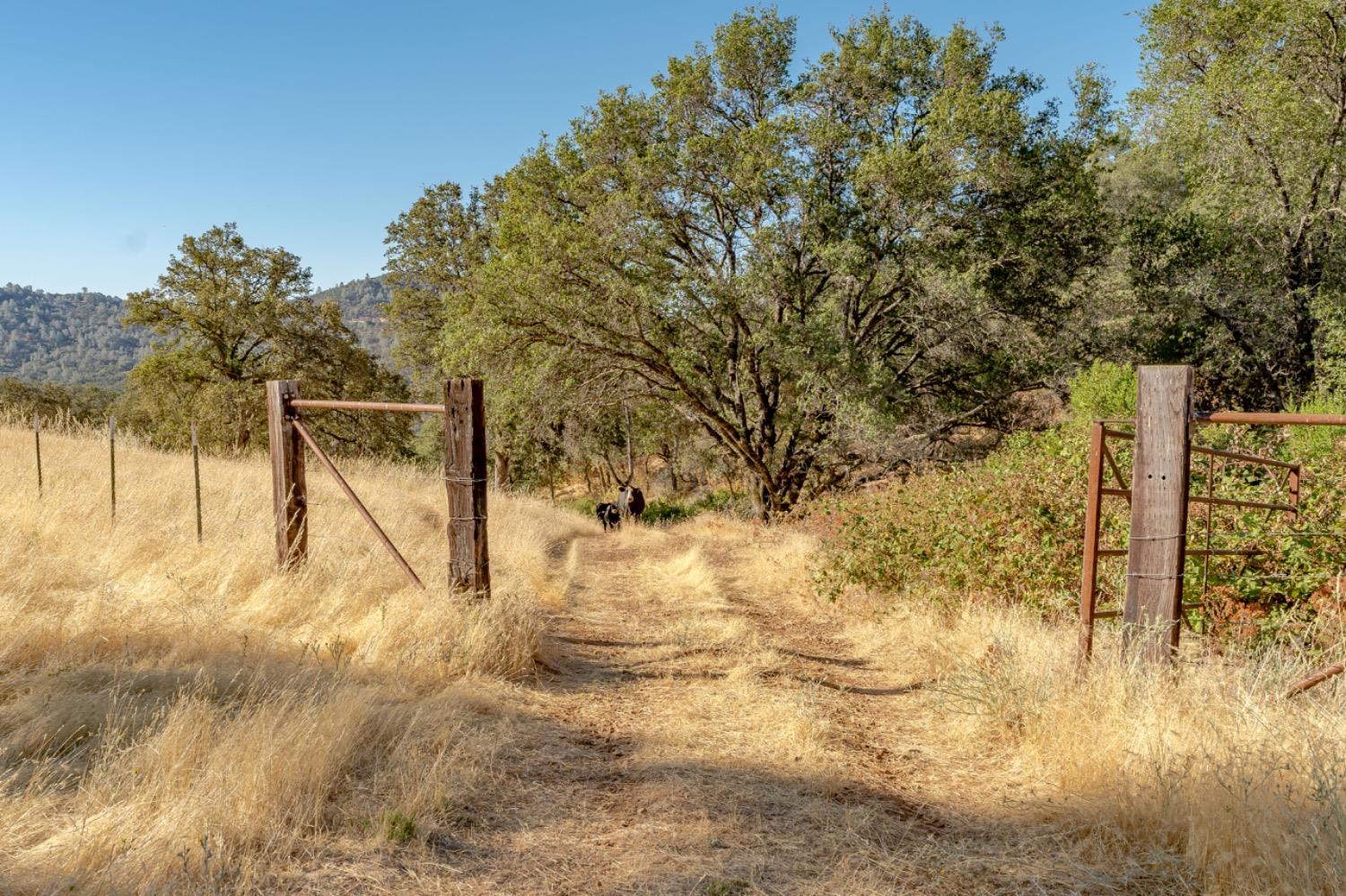 27044 McCourtney Road Grass Valley, CA 95949 - Photo 28 of 74