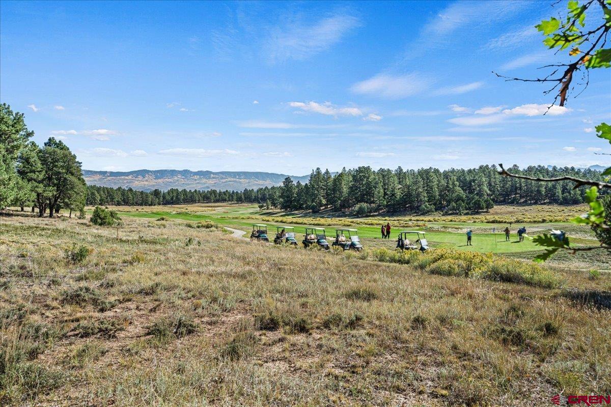 Lot 108 Marmot Drive Ridgway, CO 81432 - Photo 12 of 13 Gallery Image 12