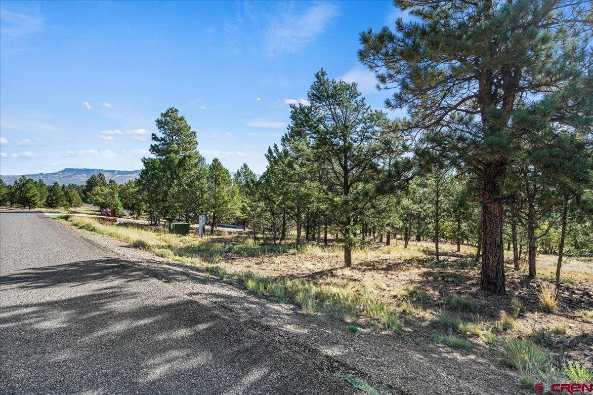 Lot 108 Marmot Drive Ridgway, CO 81432 - Photo 8 of 13 Gallery Image 8