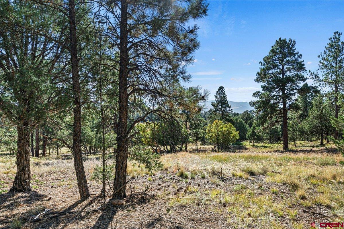 Lot 108 Marmot Drive Ridgway, CO 81432 - Photo 9 of 13 Gallery Image 9