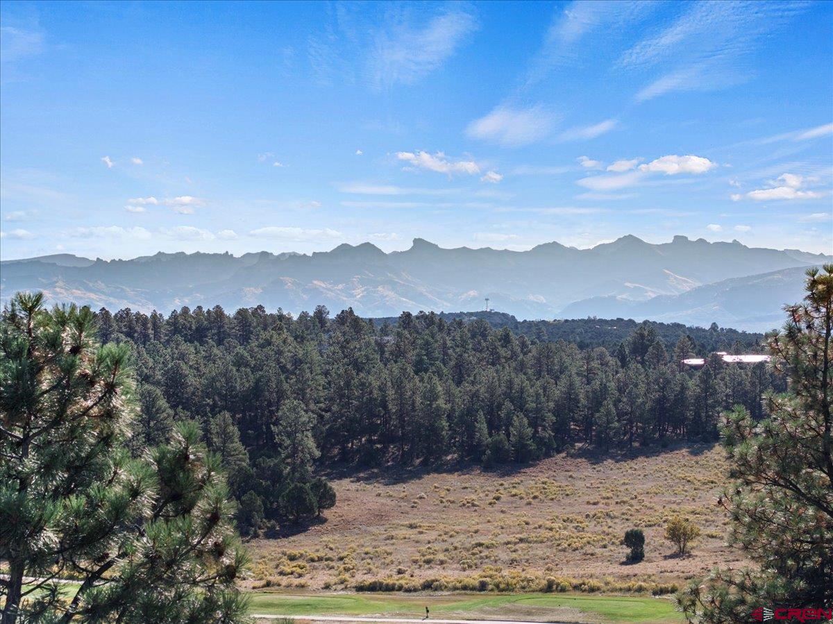 Lot 108 Marmot Drive Ridgway, CO 81432 - Photo 10 of 13 Gallery Image 10