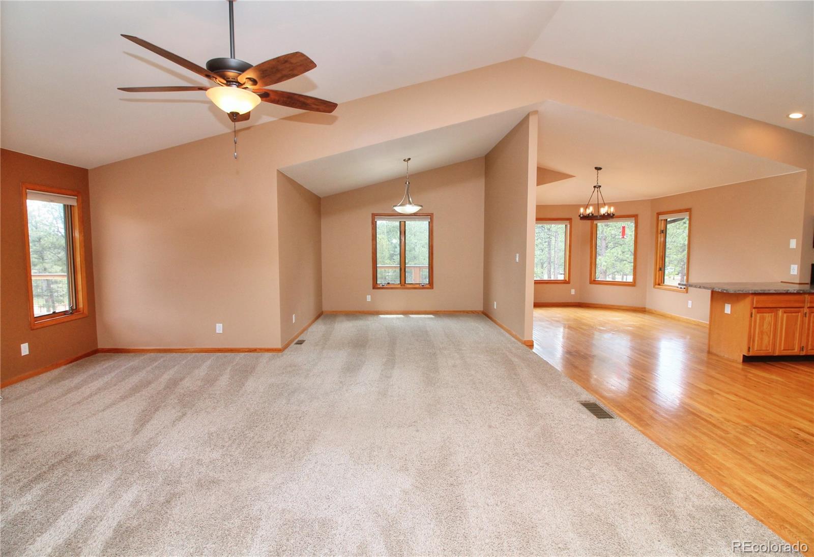 850 Hangmans Road Bailey, CO 80421 - Photo 10 of 40
