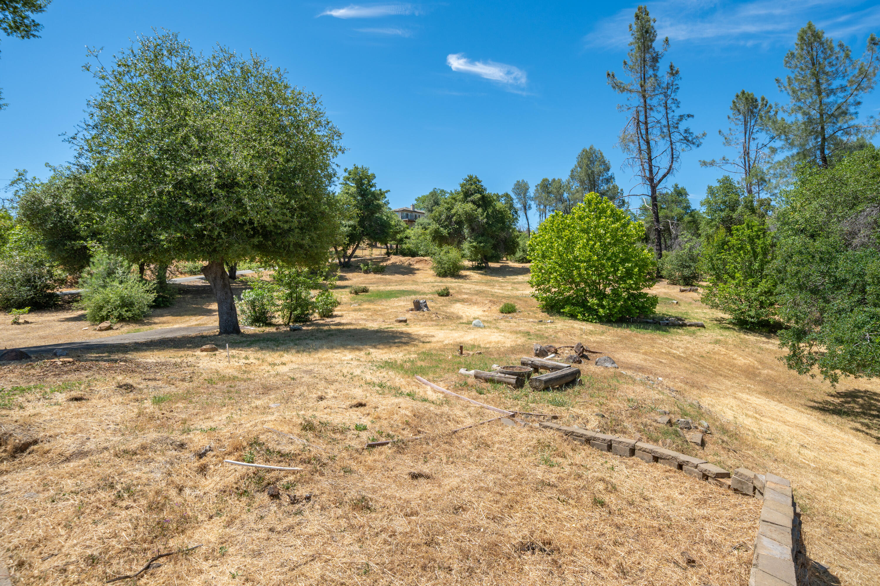 15809 Old Stage Coach Road Redding, CA 96001 - Photo 22 of 44 a view of yard with tree