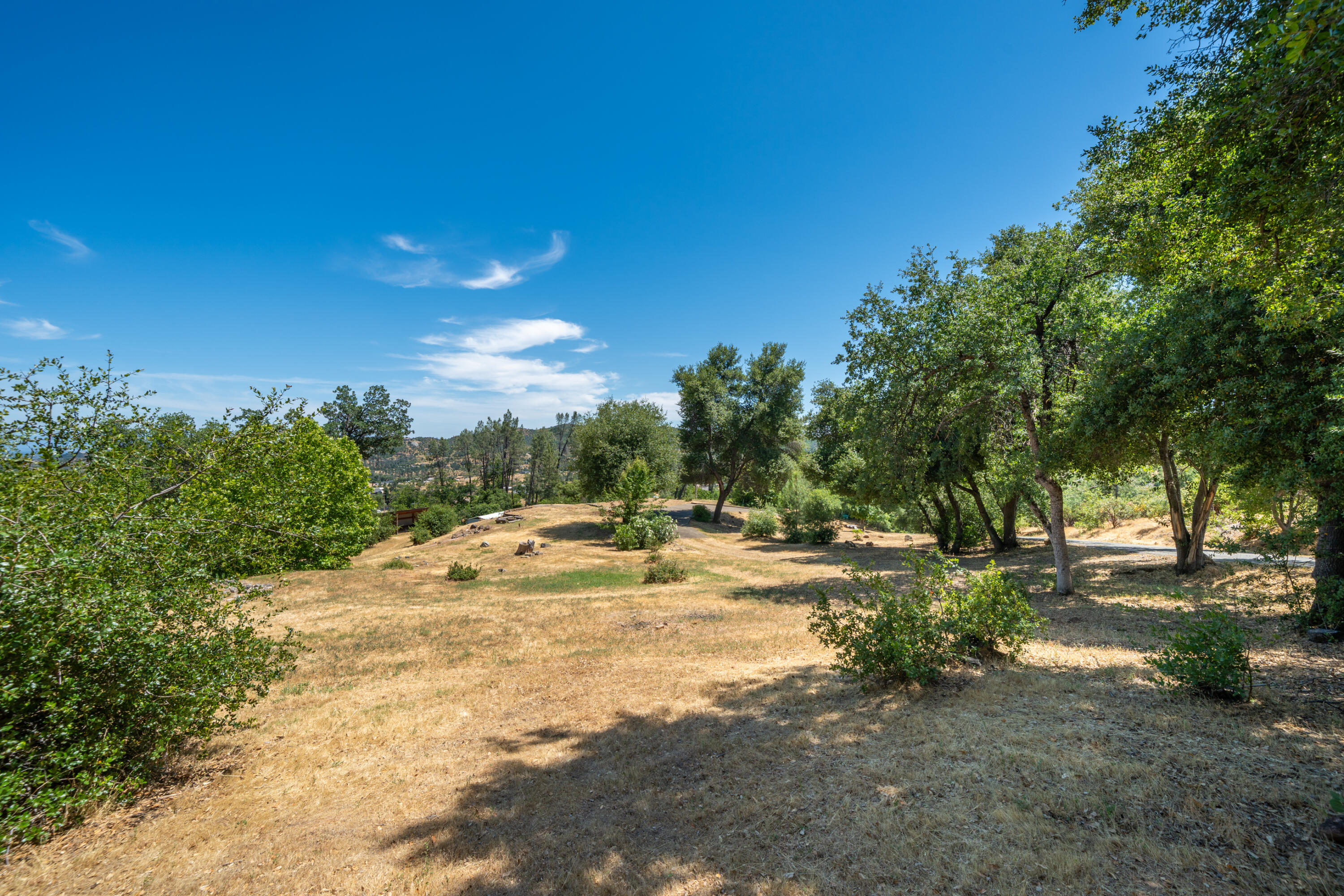 15809 Old Stage Coach Road Redding, CA 96001 - Photo 3 of 44 a view of a yard with plants and trees