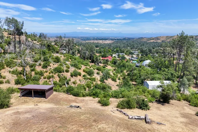 a view of a yard with plants