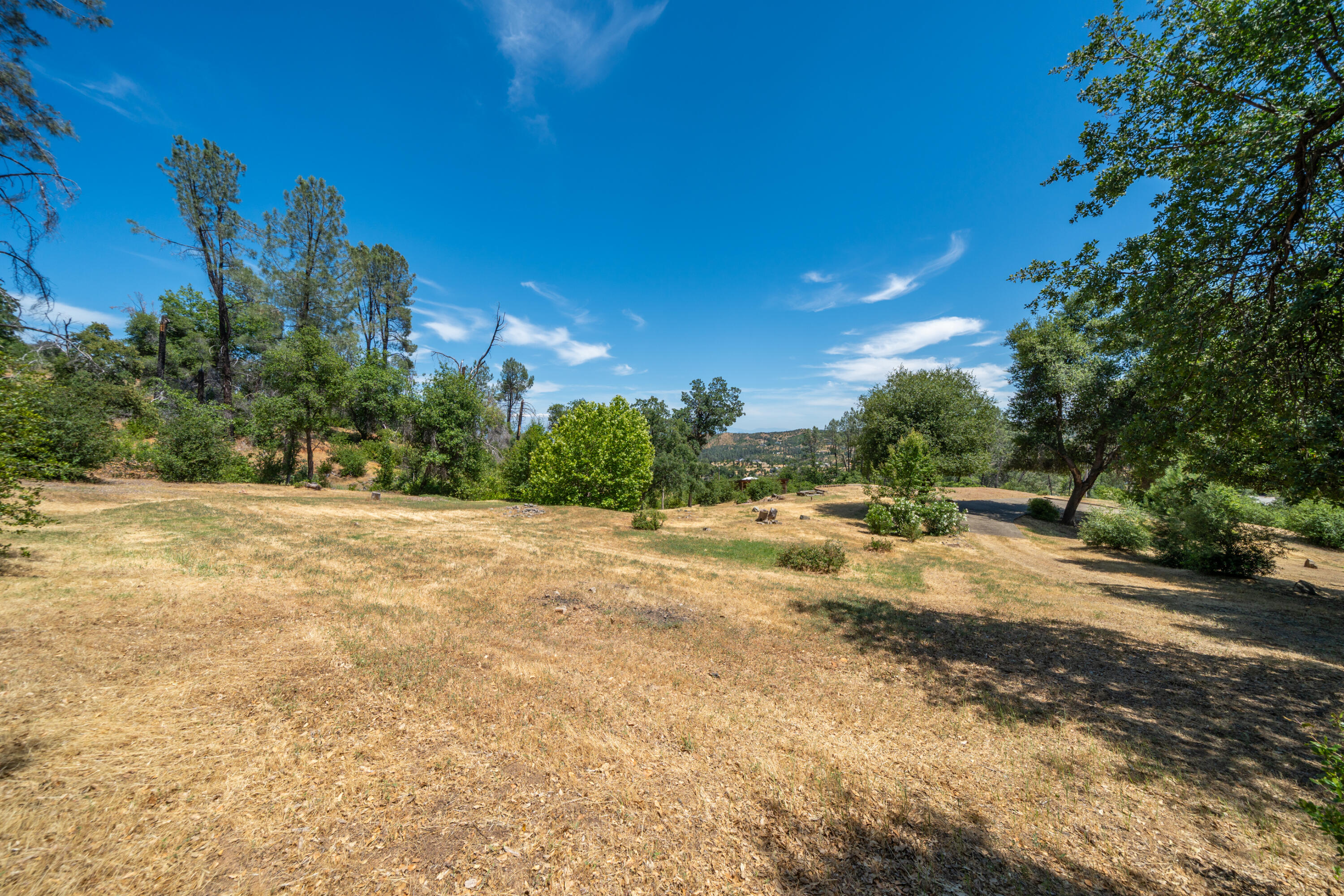 15809 Old Stage Coach Road Redding, CA 96001 - Photo 4 of 44 a view of a yard with a tree