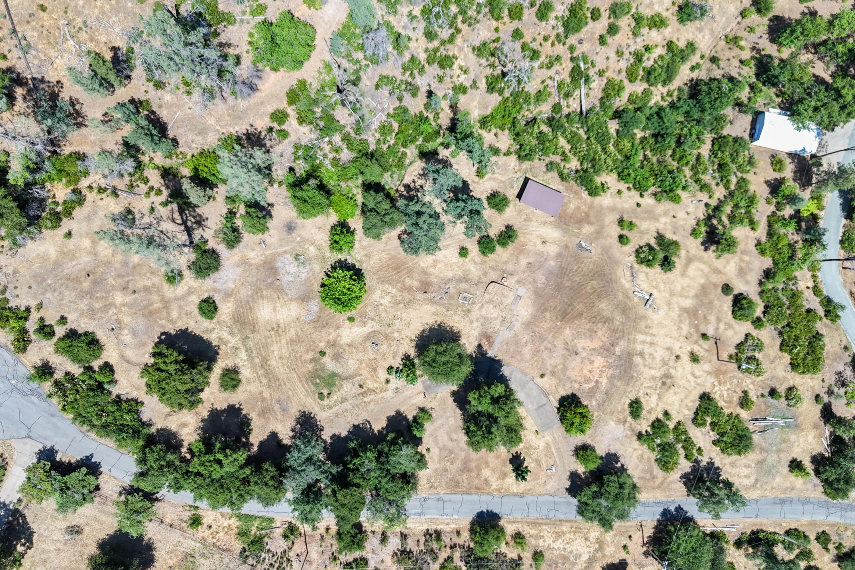 15809 Old Stage Coach Road Redding, CA 96001 - Photo 43 of 44 a view of a yard with plants