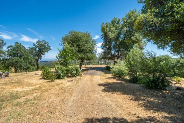 a view of a road with trees in the background