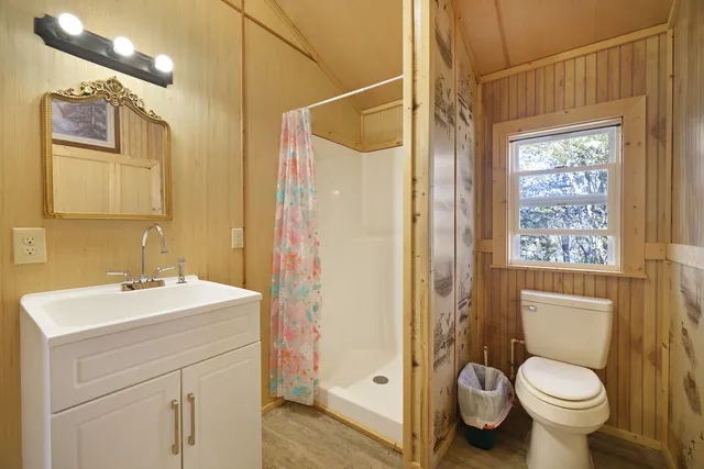 a view of a city with a mountain