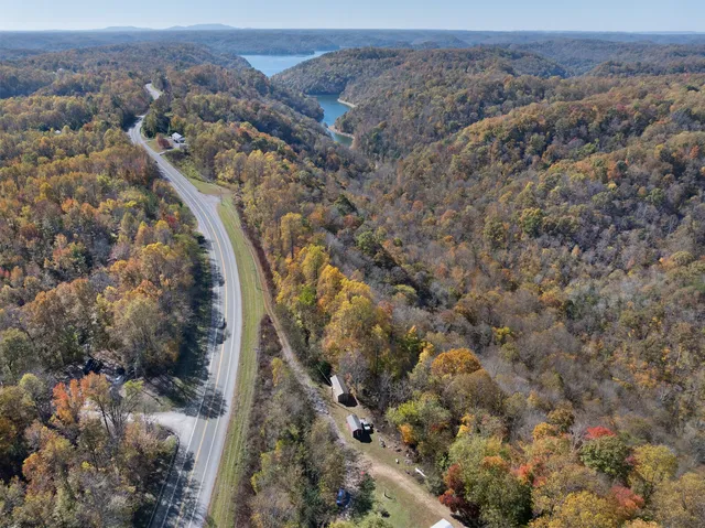 a view of a forest with trees