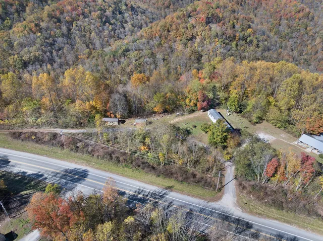 a view of a yard with a tree