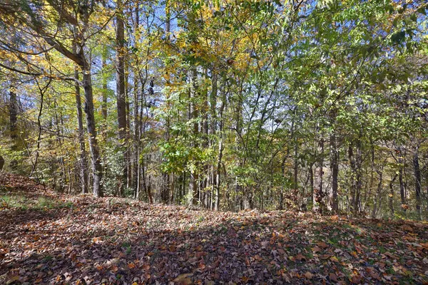 $99,000 | 16301 B Smithville Highway, Silver Point, TN 38582