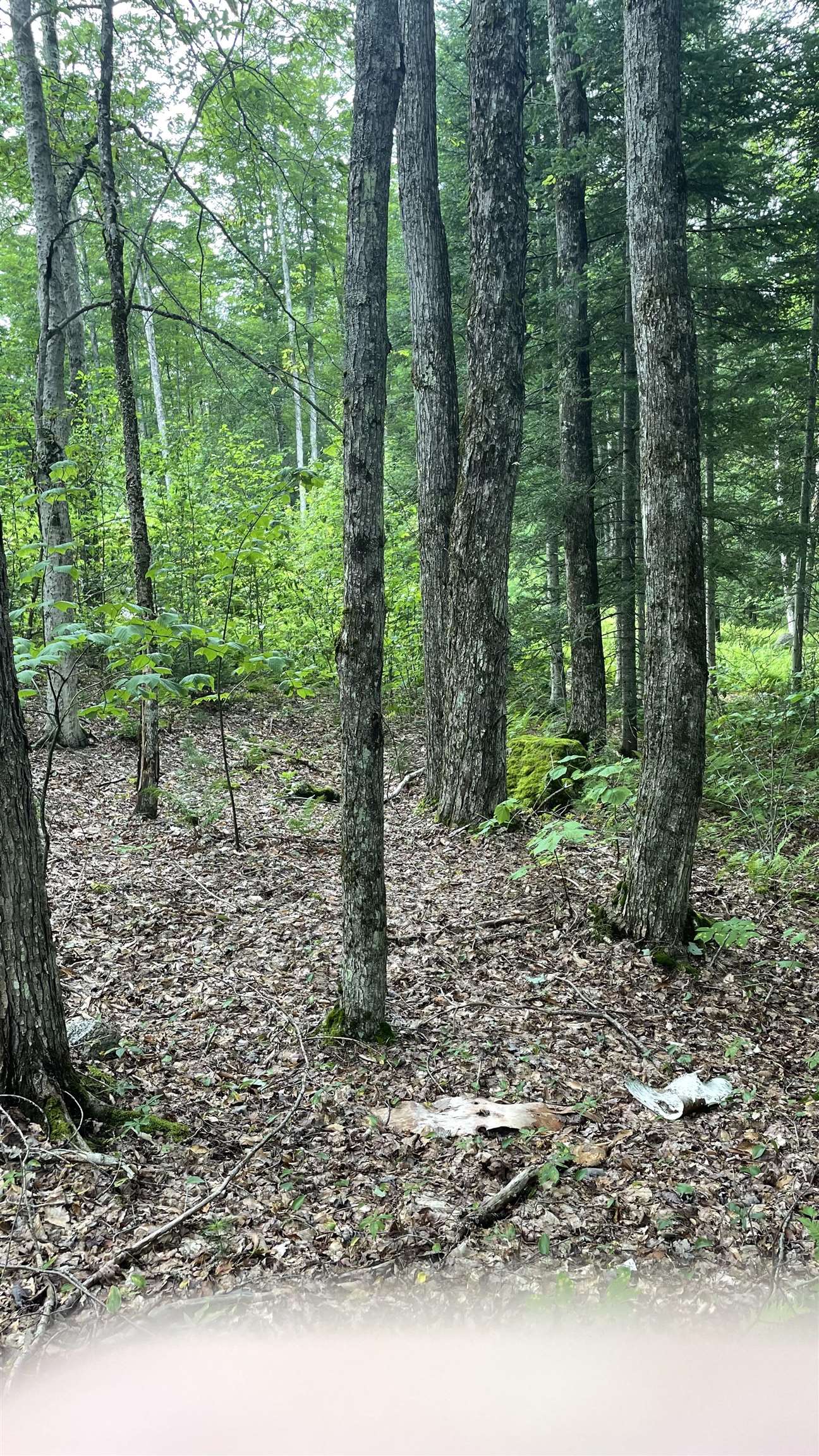 961 Maple Street Bethlehem, NH 03574 - Photo 12 of 28