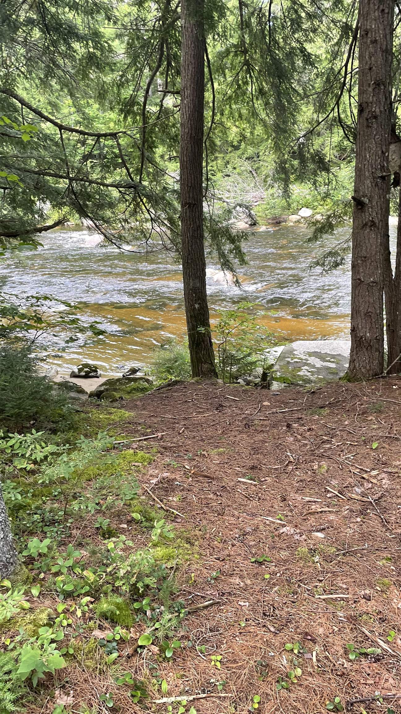 961 Maple Street Bethlehem, NH 03574 - Photo 14 of 23