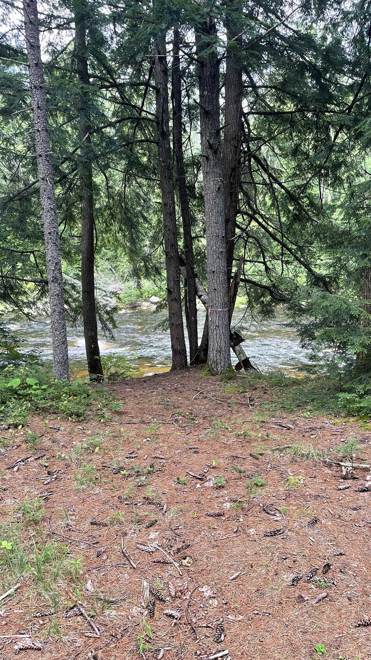 961 Maple Street Bethlehem, NH 03574 - Photo 15 of 23