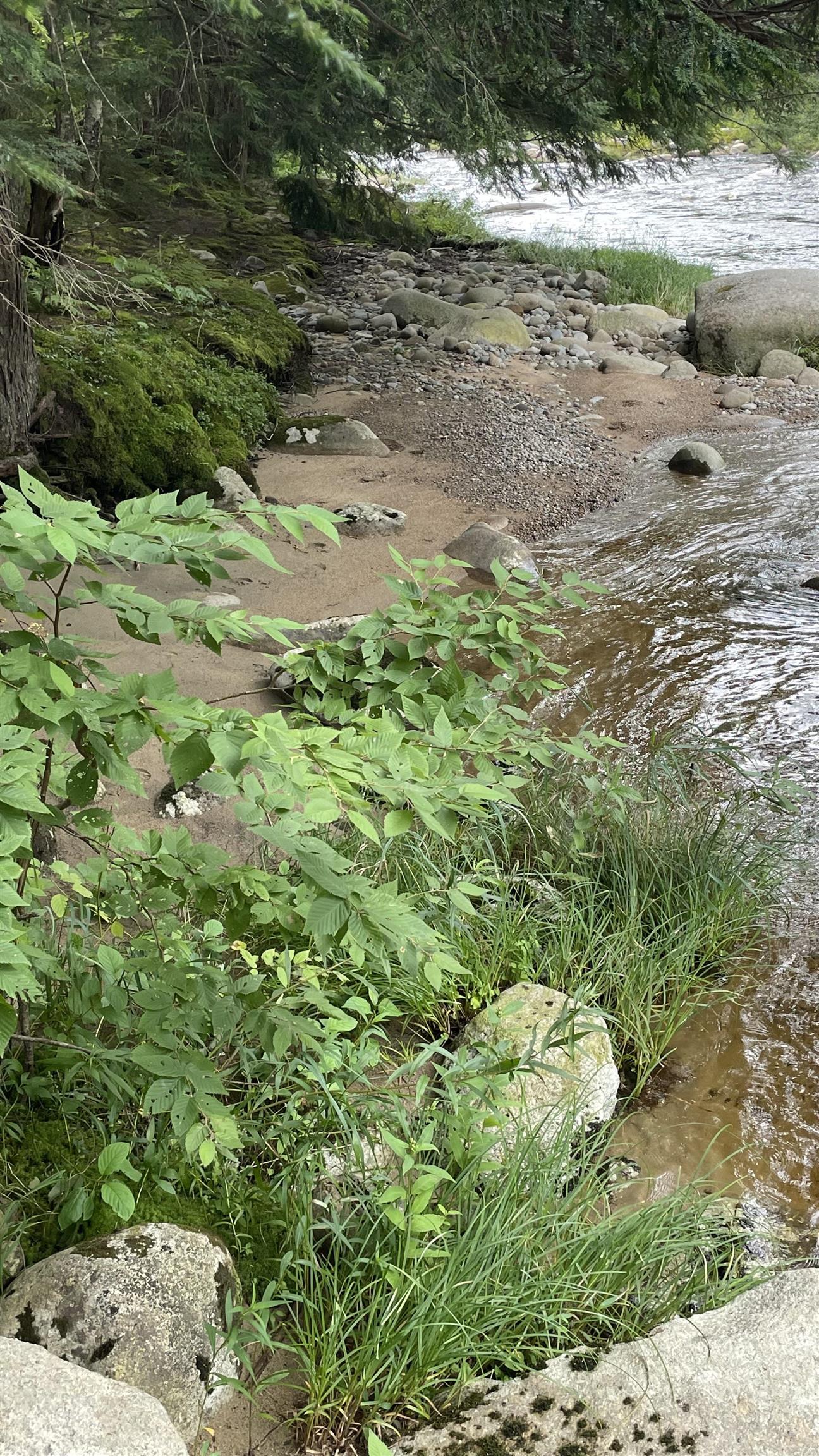 961 Maple Street Bethlehem, NH 03574 - Photo 16 of 28