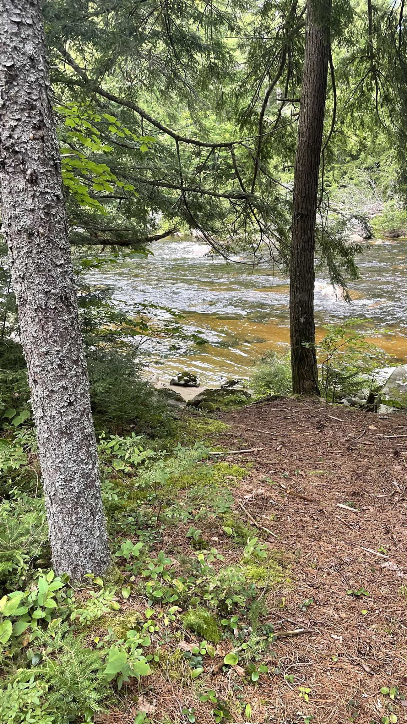 961 Maple Street Bethlehem, NH 03574 - Photo 16 of 23