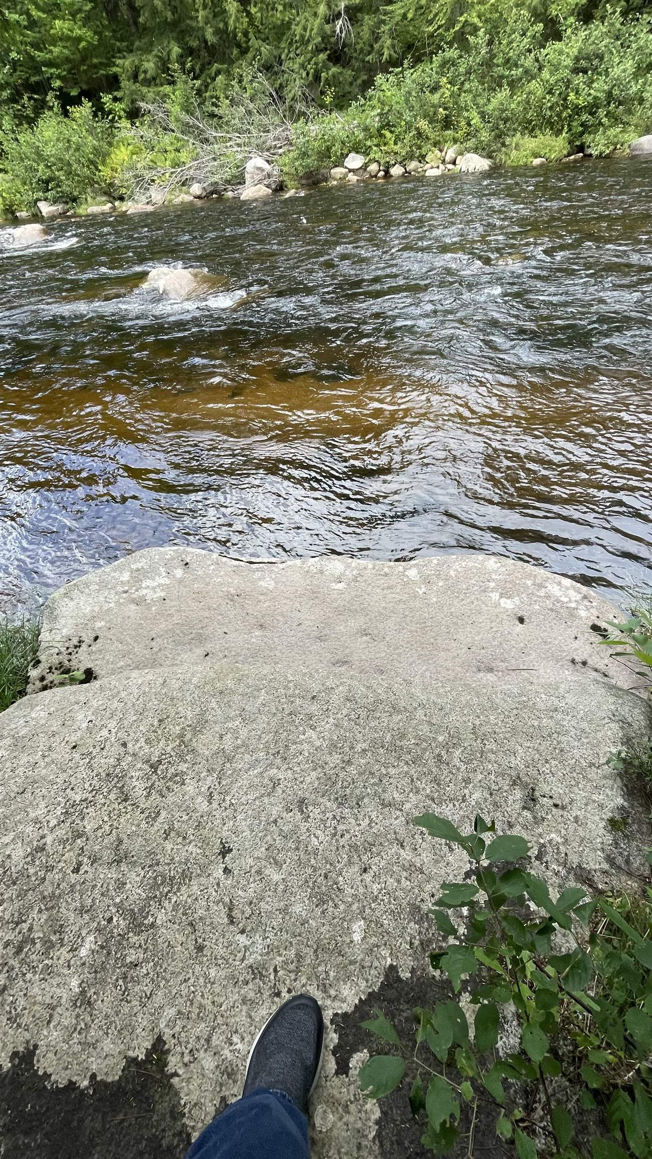 961 Maple Street Bethlehem, NH 03574 - Photo 17 of 23