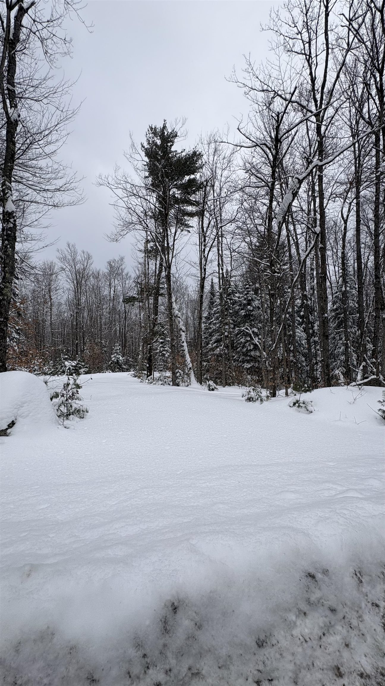 961 Maple Street Bethlehem, NH 03574 - Photo 2 of 28