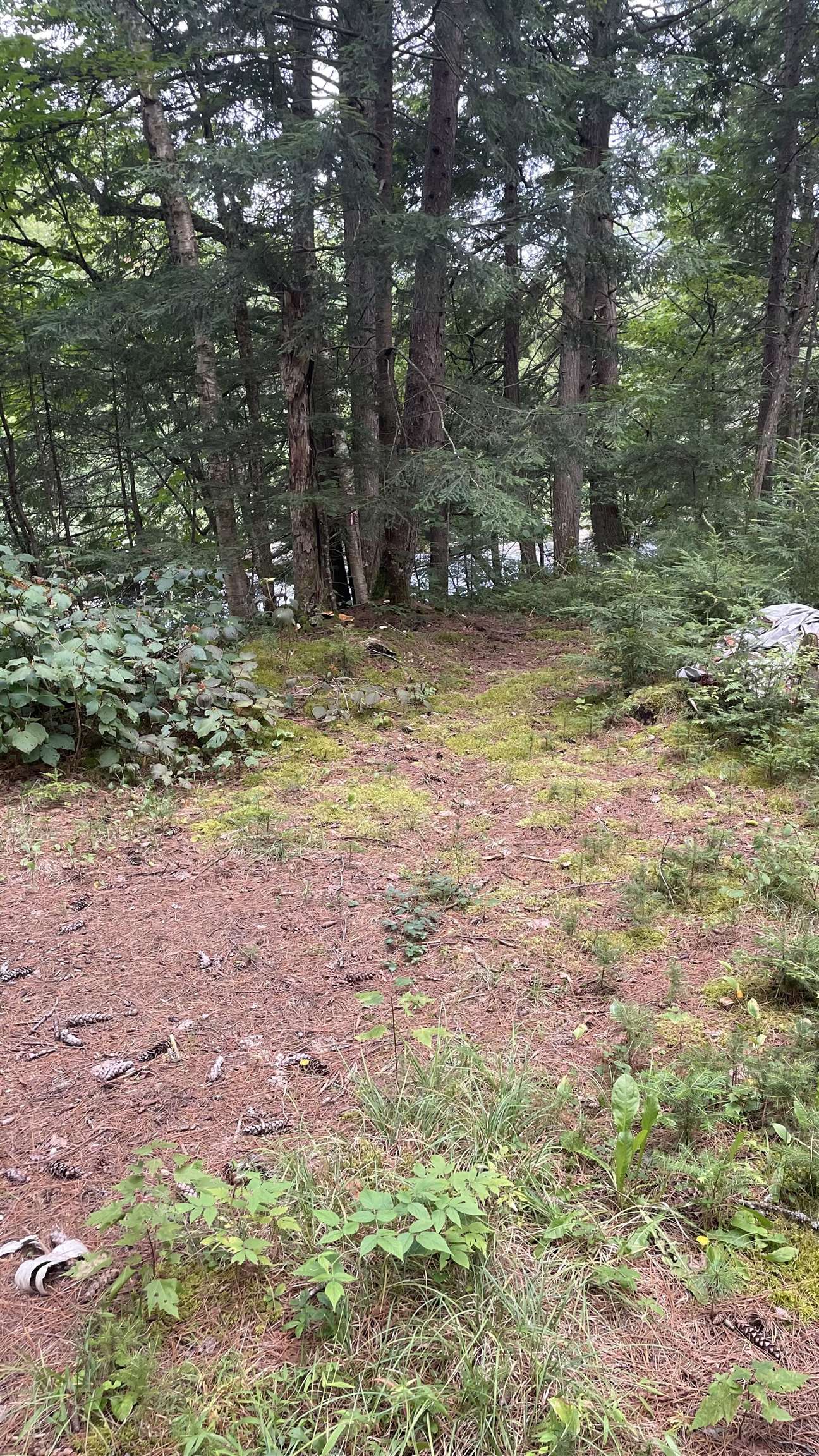 961 Maple Street Bethlehem, NH 03574 - Photo 23 of 28