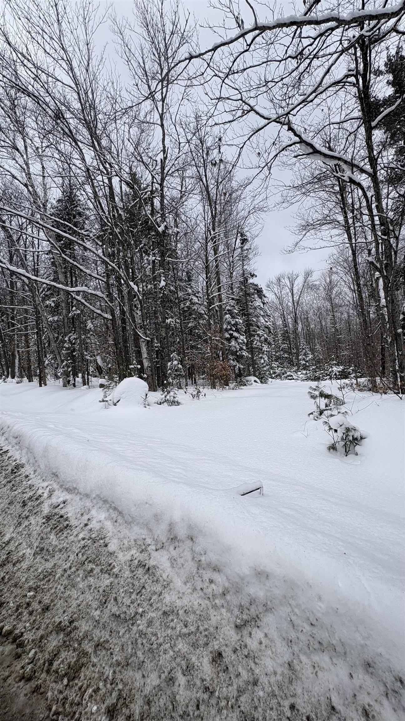 961 Maple Street Bethlehem, NH 03574 - Photo 3 of 28