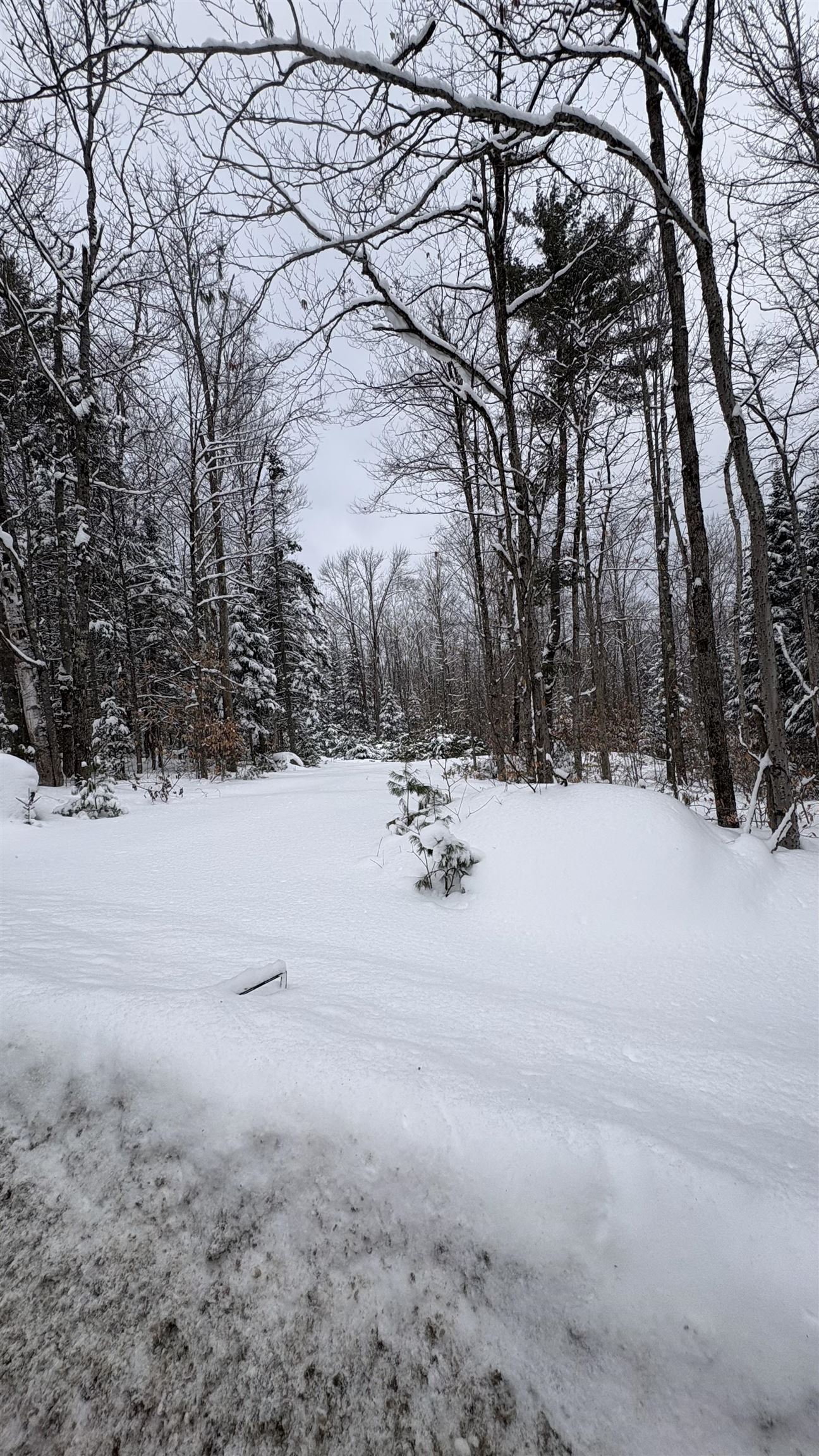 961 Maple Street Bethlehem, NH 03574 - Photo 4 of 28