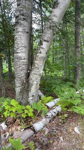 $79,900 | 961 Maple Street, Bethlehem, NH 03574