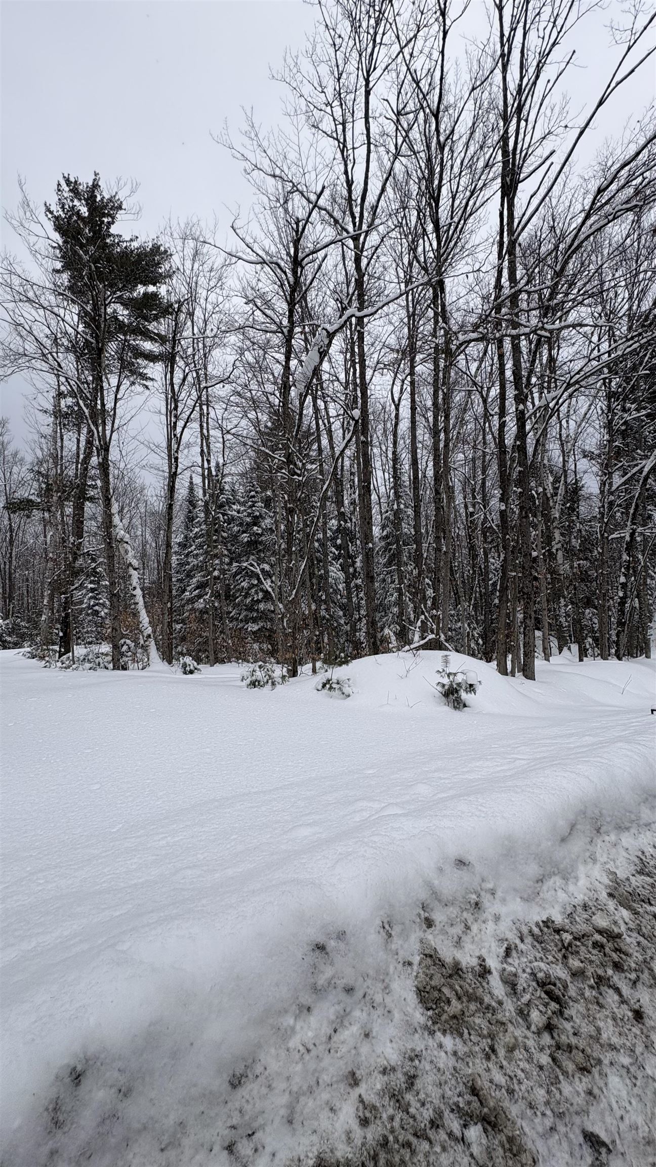 961 Maple Street Bethlehem, NH 03574 - Photo 5 of 28