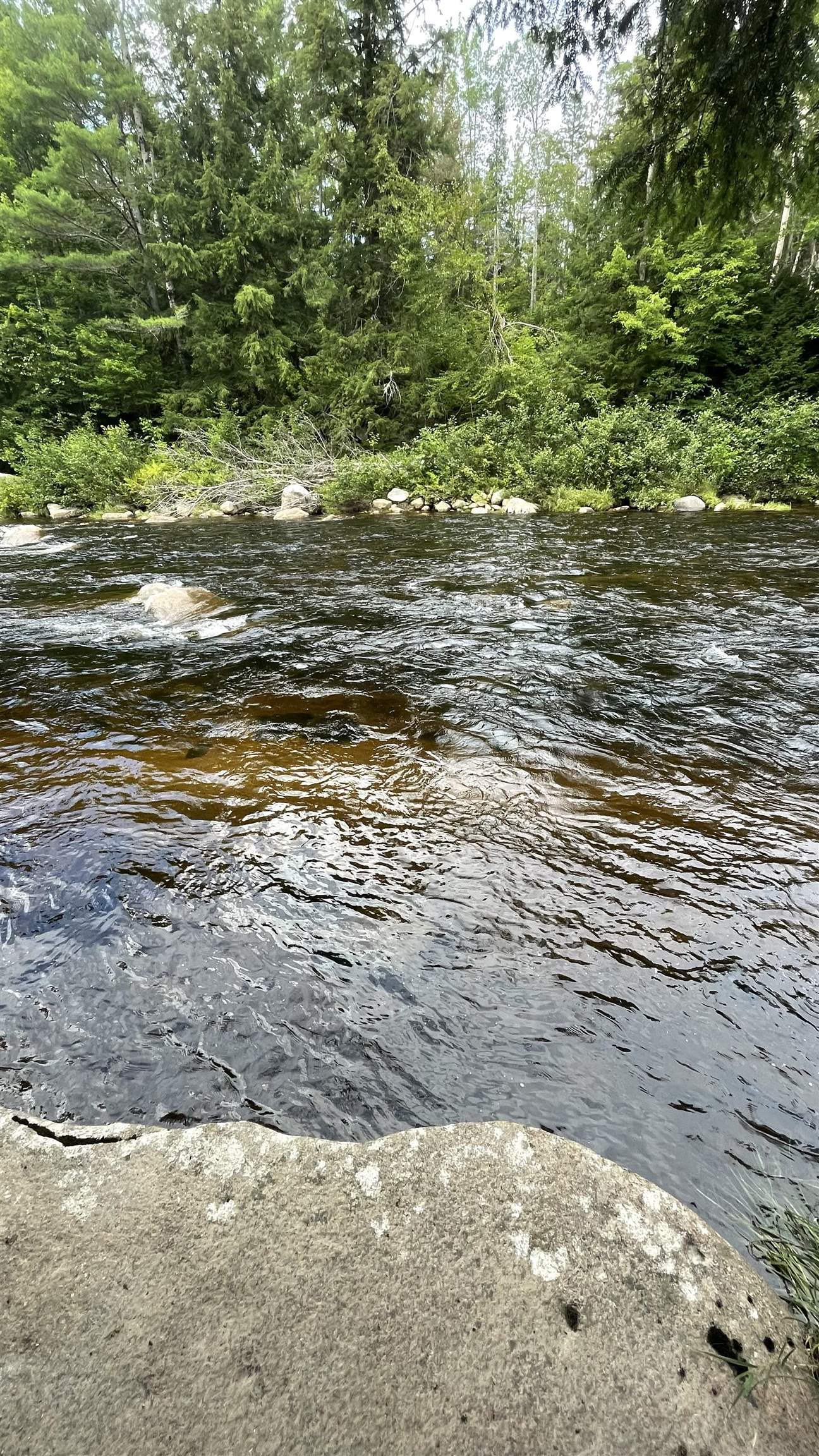 961 Maple Street Bethlehem, NH 03574 - Photo 6 of 23