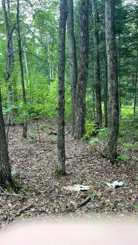 $79,900 | 961 Maple Street, Bethlehem, NH 03574