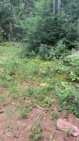 $79,900 | 961 Maple Street, Bethlehem, NH 03574