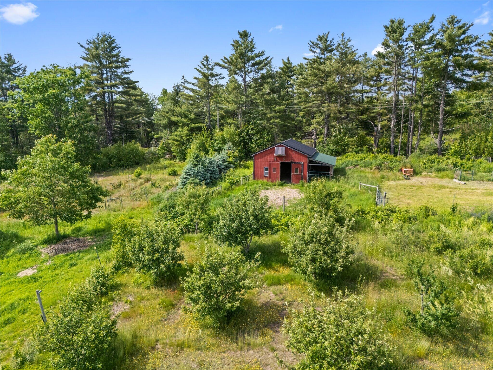 431 Bardon Hill Road Etna, ME 04434 - Photo 9 of 56 19-431 Bardon Hill
