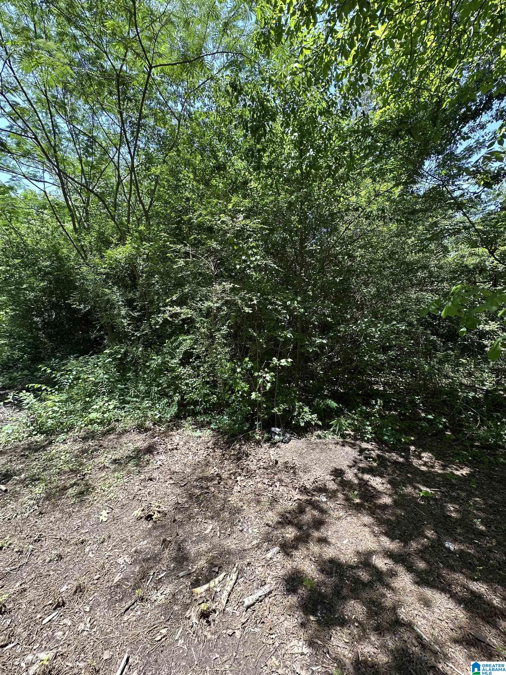 2716 Mary Taylor Road Birmingham, AL 35210 - Photo 3 of 10