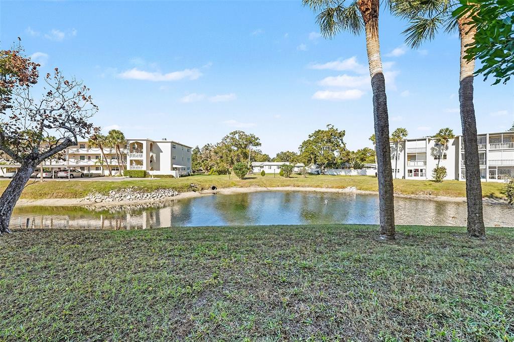 940 Virginia Street, Unit 105 Dunedin, FL 34698 - Photo 11 of 14