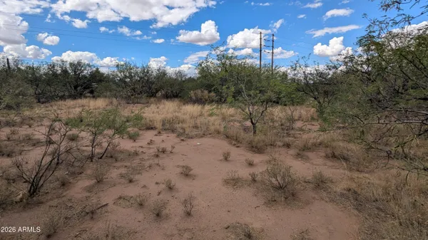 a view of a bunch of trees