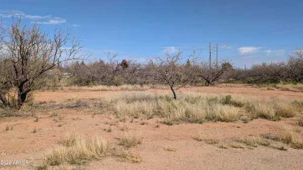 a view of a dry yard with trees in the background