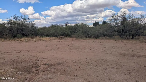 a view of dirt field with trees
