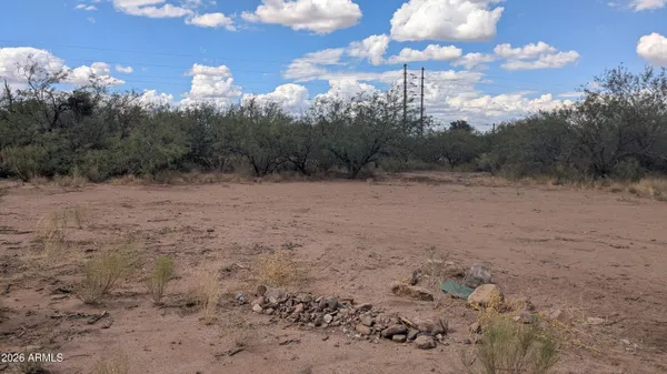 a view of a yard with a tree