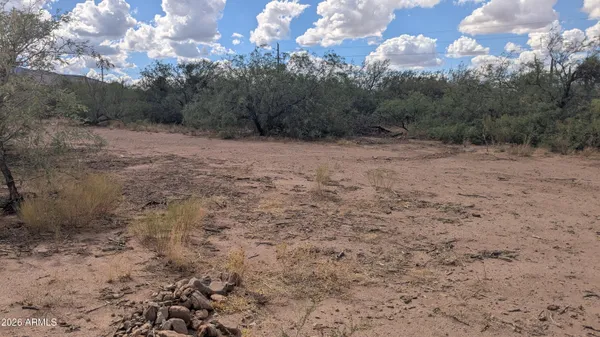 a view of a dry yard with trees in the background