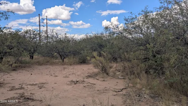 a view of a pathway in a yard