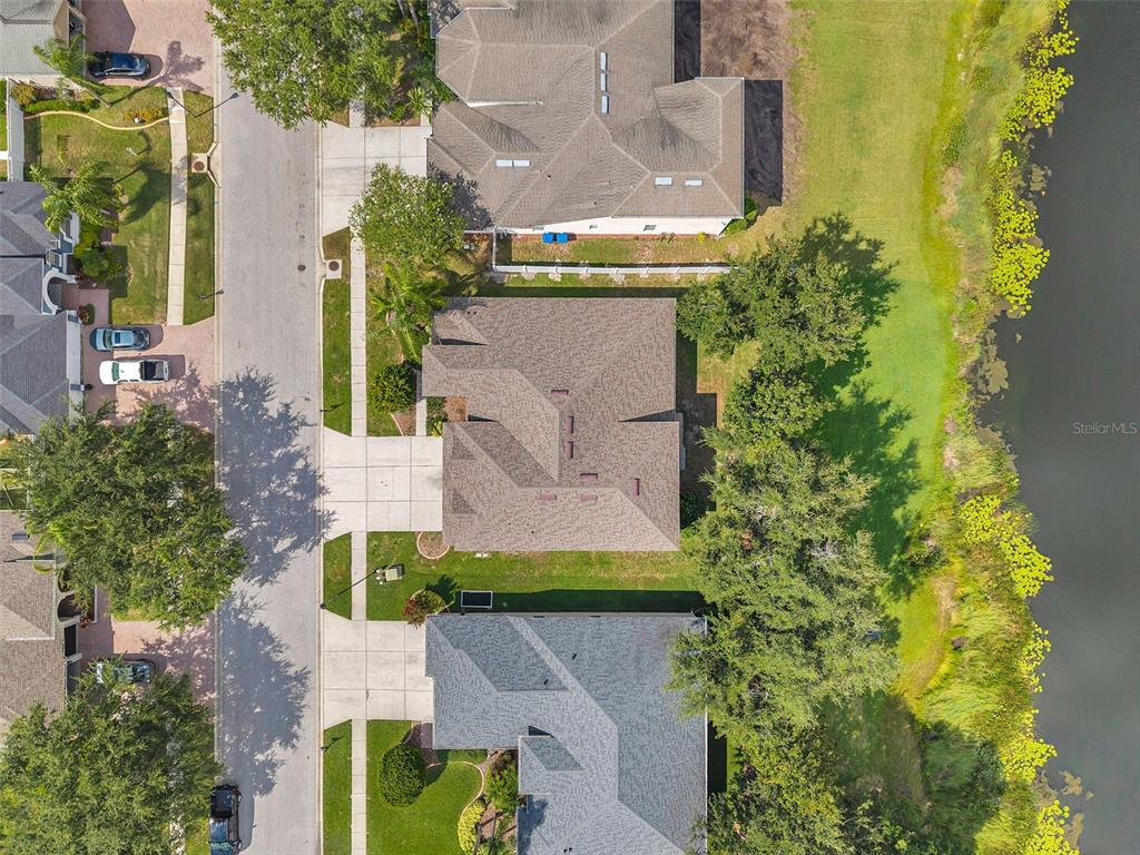 4812 Walnut Ridge Road Land O' Lakes, FL 34638 - Photo 52 of 74 Gallery Image 52