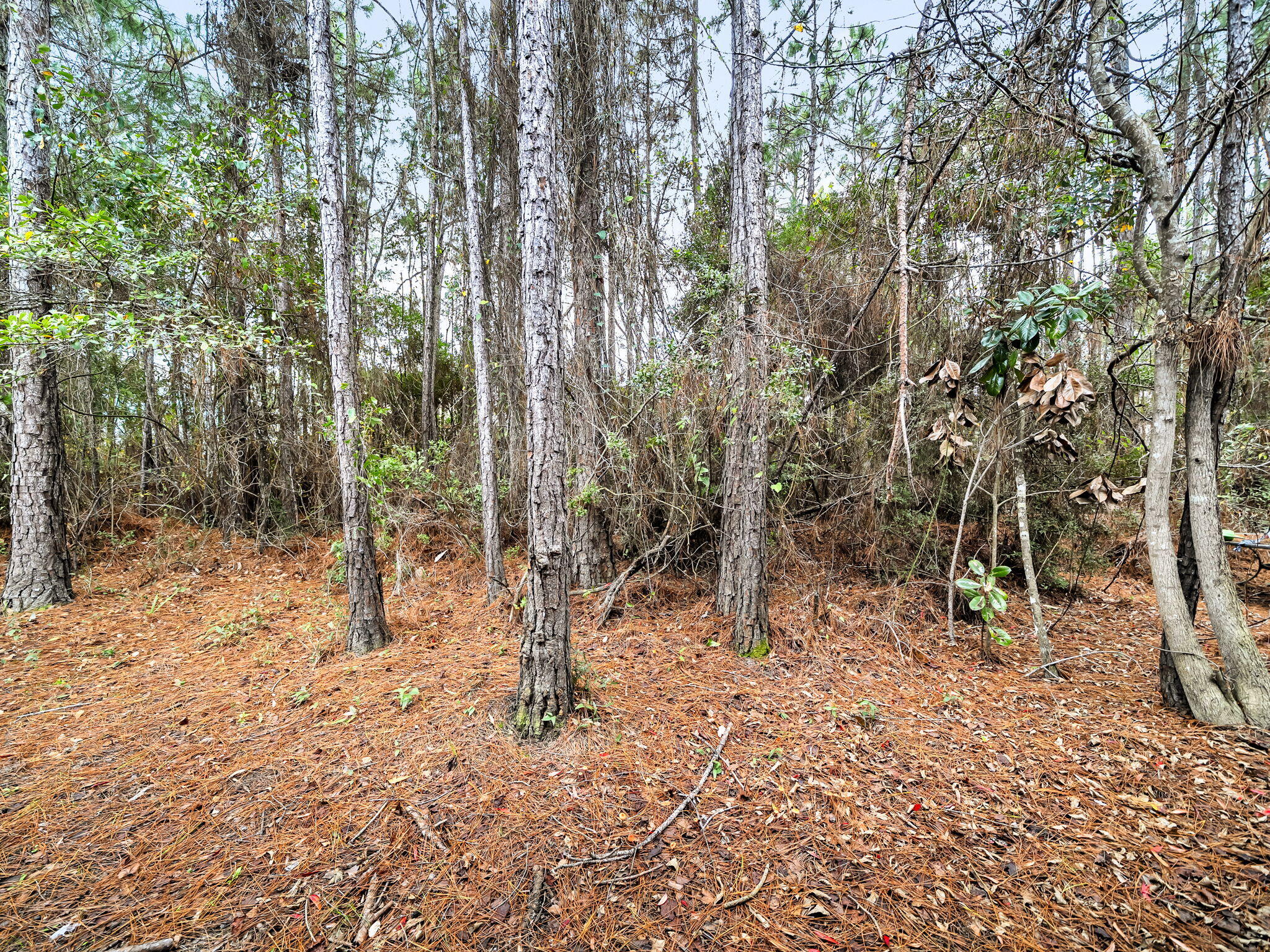 35 Talon Court Santa Rosa Beach, FL 32459 - Photo 20 of 33 21-web-or-mls-DSC05932