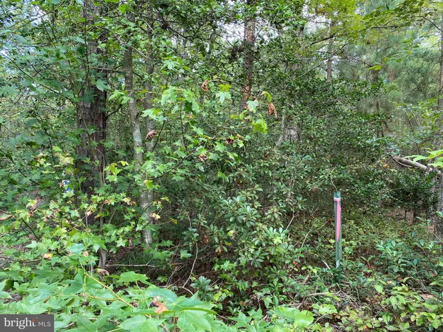 $100,000 | 35-81a Old Parsons Road, King George, VA 22485