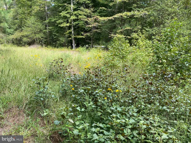 $100,000 | 35-81a Old Parsons Road, King George, VA 22485