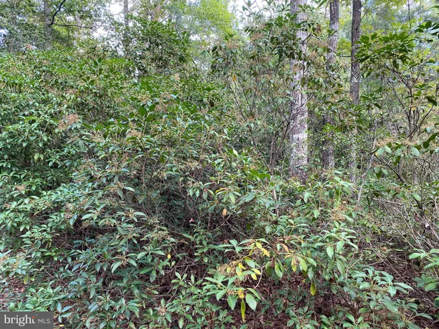 $100,000 | 35-81a Old Parsons Road, King George, VA 22485