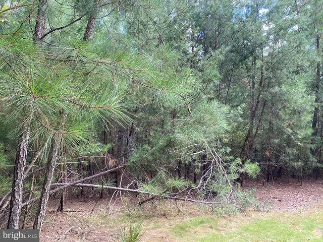 $100,000 | 35-81a Old Parsons Road, King George, VA 22485