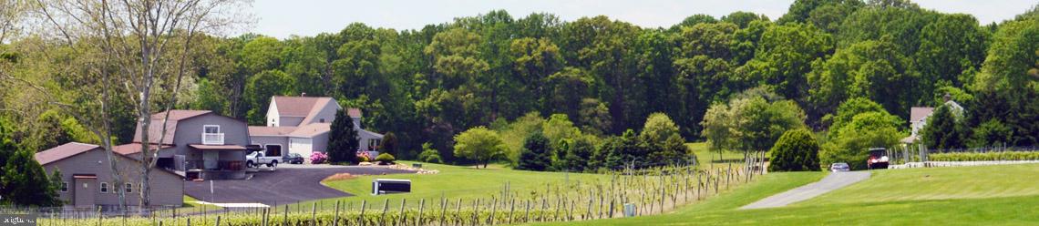 2343 Choate Road Fallston, MD 21047 - Photo 28 of 31 Harford Vineyard Winery