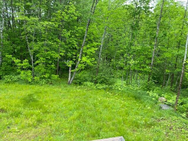 268 Edinburg Road Howland, ME 04448 - Photo 9 of 75 backyardsummpic2