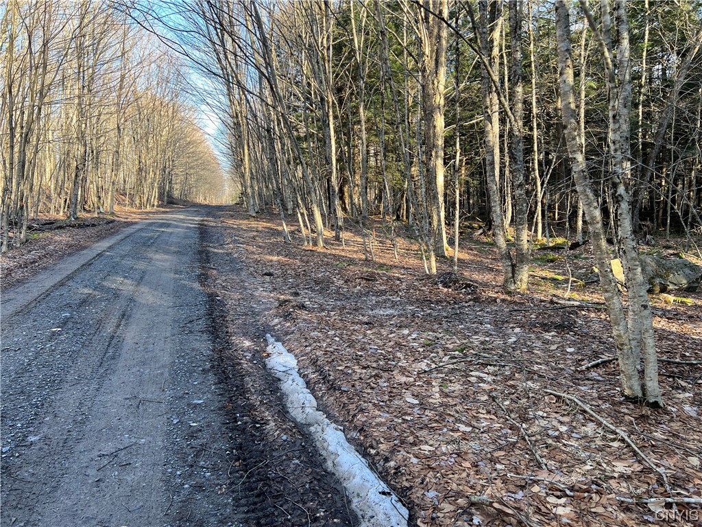 0 Mohawk Drive Forestport, NY 13338 - Photo 4 of 13 Property on right looking North on Mohawk Drive.