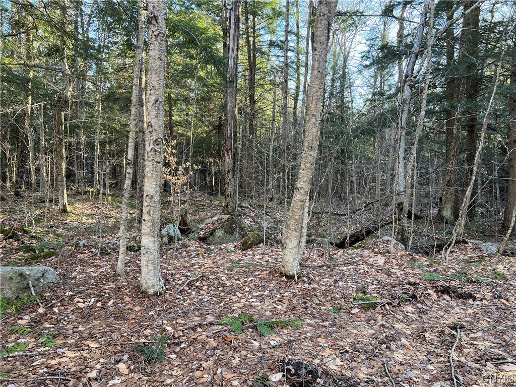 0 Mohawk Drive Forestport, NY 13338 - Photo 6 of 13 Wooded, boulders, private.